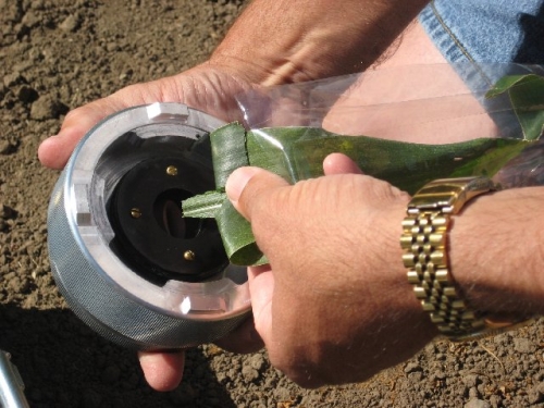 Using the Grass Compression Gland with Corn PMS Instruments