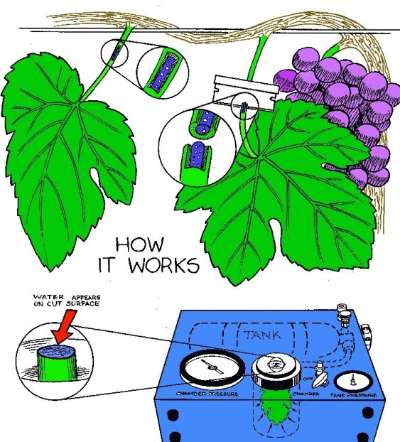 How the Pressure Chamber Works