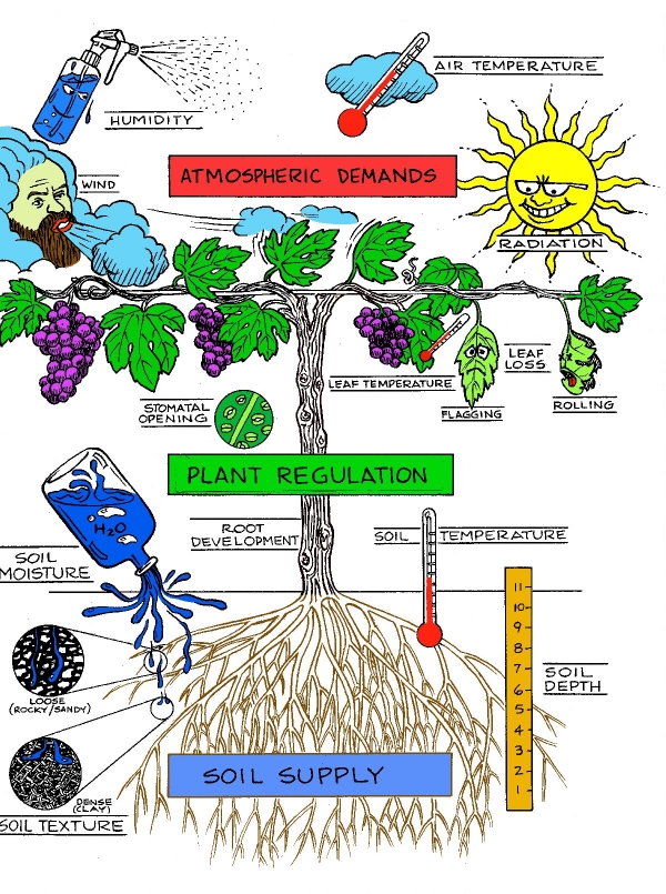 Plant Regulation PMS Instruments