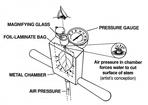 Pump Up Chamber Artist's Concept PMS Instruments