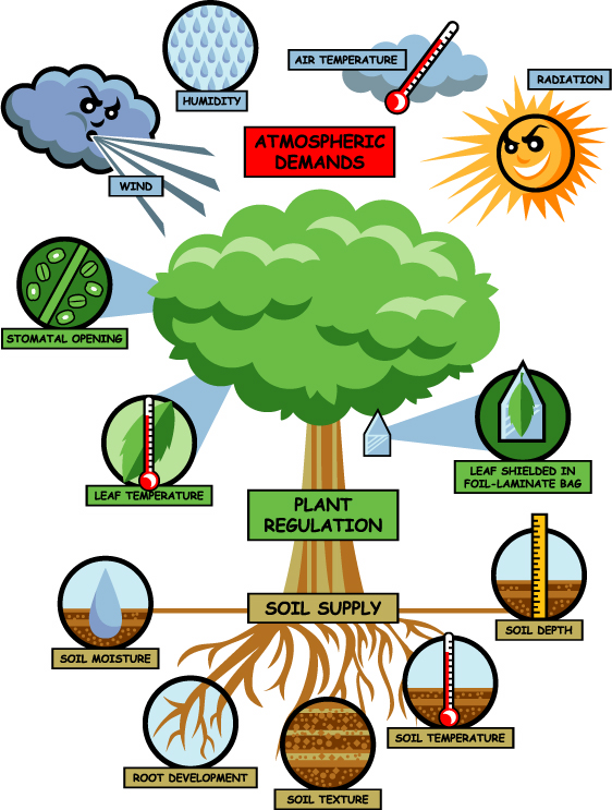 Plant Regulation diagram PMS Instruments