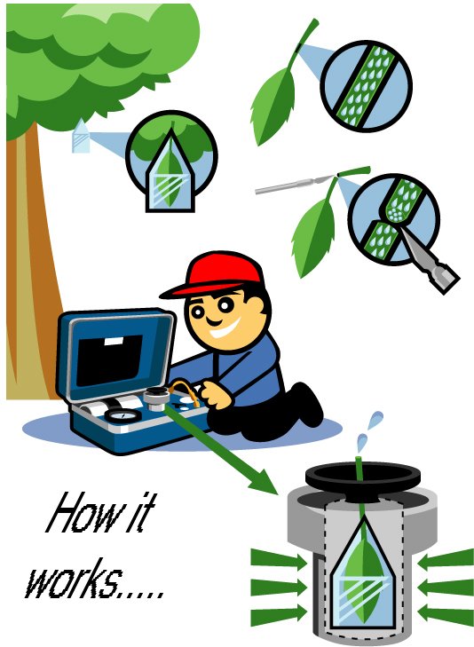 How the pressure bomb works with almonds PMS Instruments