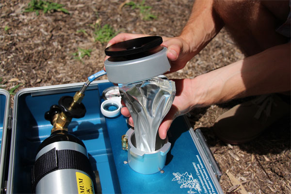 Measuring plant moisture stress in walnut trees