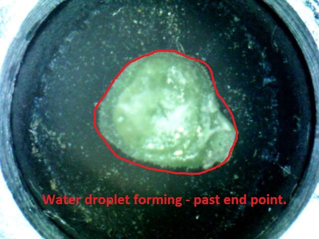 Measuring plant moisture stress in walnut trees