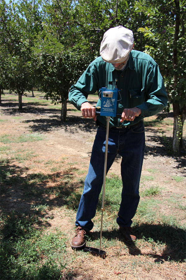 Measuring plant moisture stress in plum and prune trees