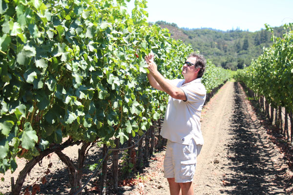 Measuring plant moisture stress in grapes