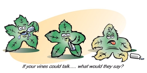 If your vines could talk, what would they say? PMS Instruments
